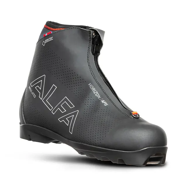 Skisko 39 Alfa Horizon APS GTX 39 Black 