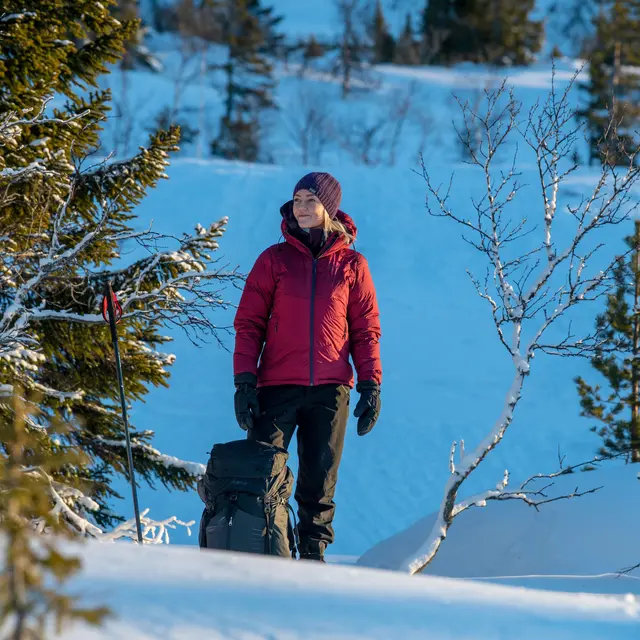 Skallbukse til dame S Bergans Breheimen 2L Pant W S 2851 