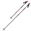 Skistav Black Diamond Traverse Ski Poles