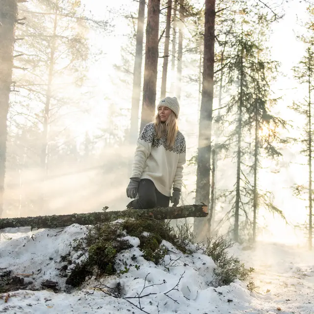 Genser S Devold Bjørnøya Wool Sweater U S 010 