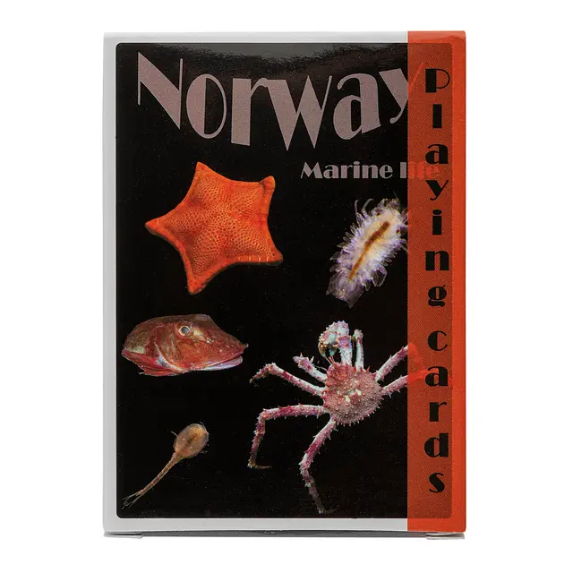 Kortstokk med marine motiv Sea Snack Kortstokk med marine motiv 