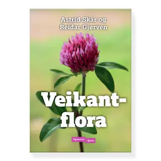 Veikantflora Vigmostad Bj&#248;rke Veikantflora