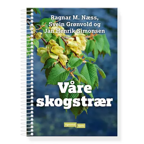 V&#229;re skogstr&#230;r Vigmostad Bj&#248;rke V&#229;re skogstr&#230;r