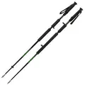 Isstaver Zandstra Nordic Double Ice Pole